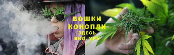 индика Заволжье