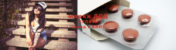 индика Заволжье