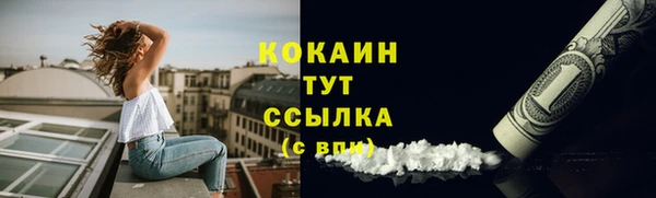 индика Заволжье