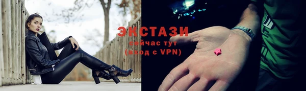 индика Заволжье