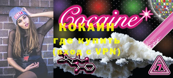 индика Заволжье