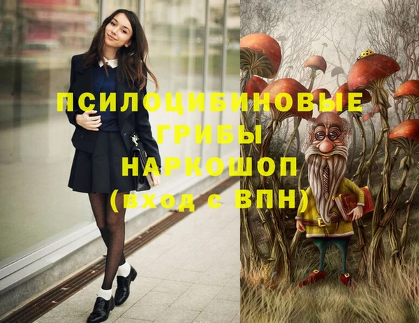 кокаин премиум Заводоуковск