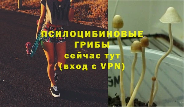 тгк Заволжск