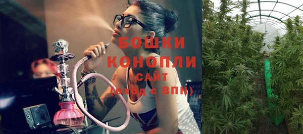 индика Заволжье